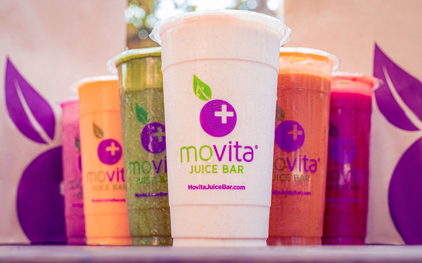 Why Movita - Movita Juice Bar Franchise
